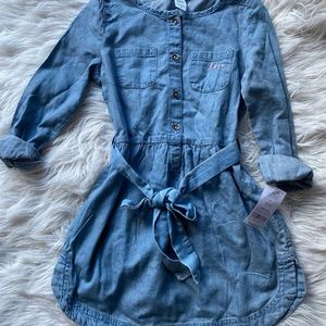 Carter's Blue Denim Casual Dress